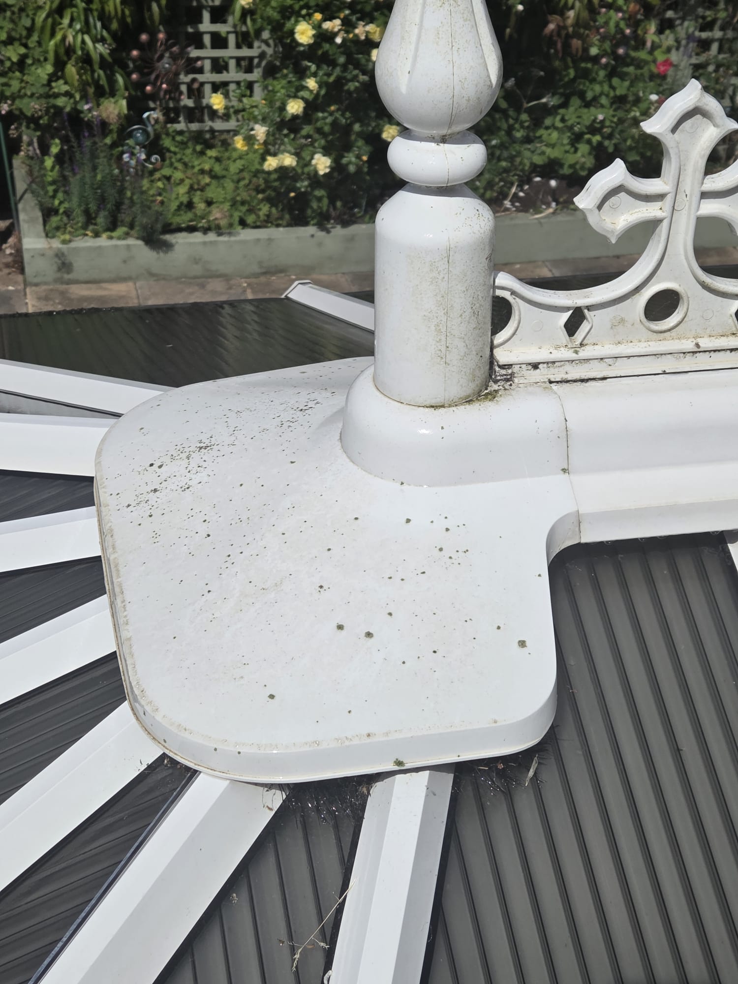 Conservatory finial and crown detail with green algae spotting before cleaning