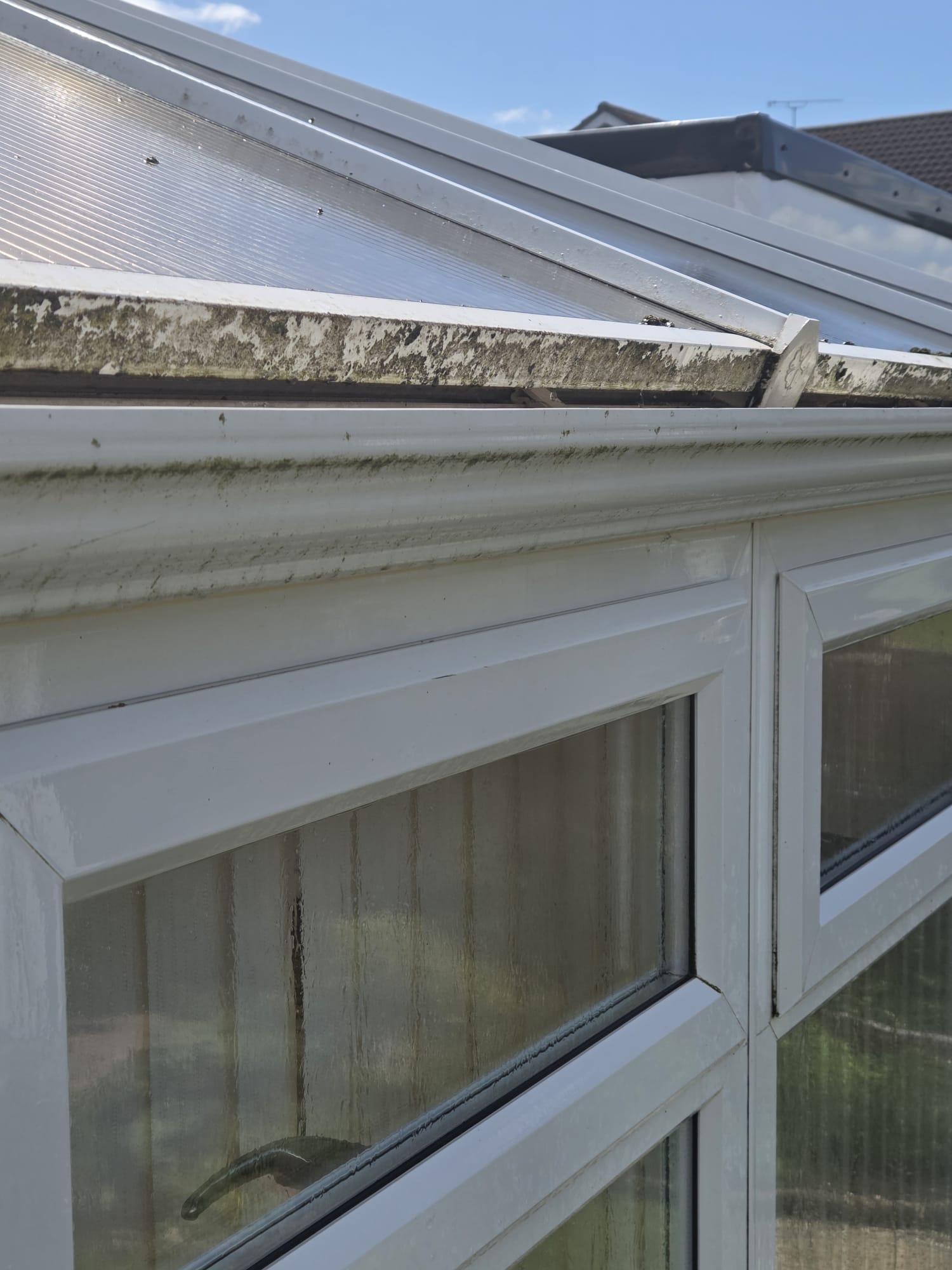 Polycarbonate conservatory roof and white uPVC frames with moss and dirt before cleaning