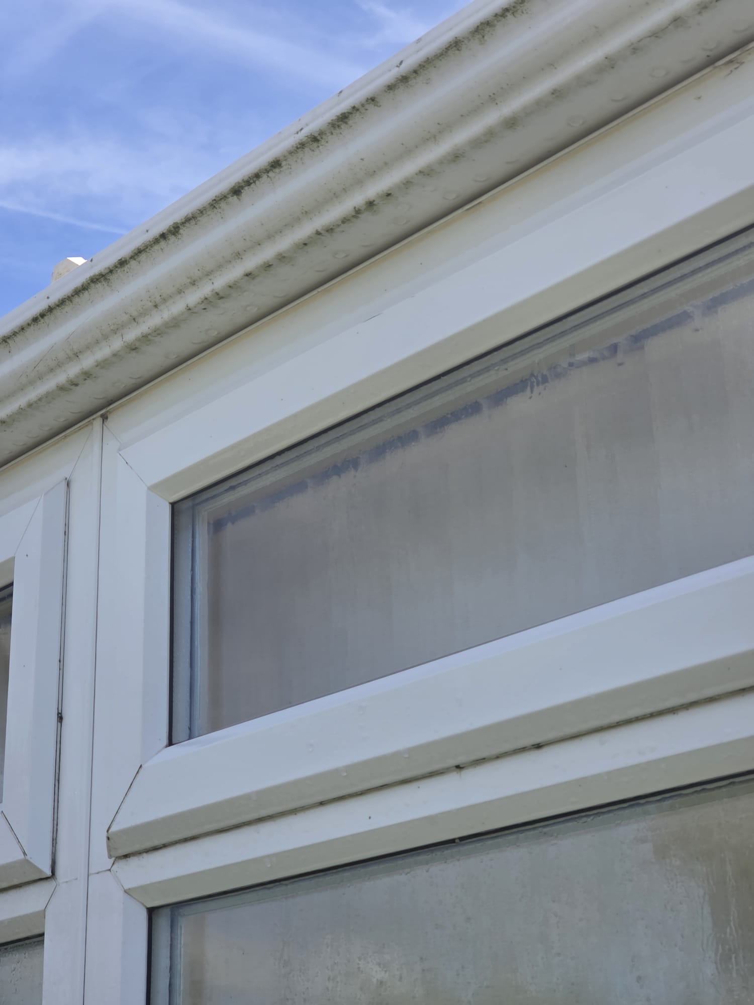 uPVC fascia and gutter line showing moss staining before cleaning